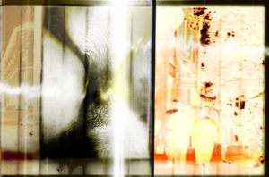 Palimpsests of XX Сentury 2011 photographic digital collage, sublimation printing on wet silk